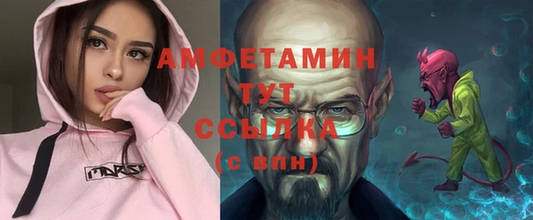 ГАЛЛЮЦИНОГЕННЫЕ ГРИБЫ Козловка