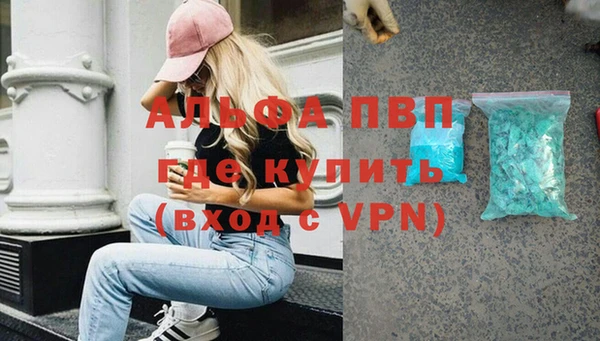ГАЛЛЮЦИНОГЕННЫЕ ГРИБЫ Козловка