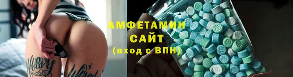 гидра Кодинск