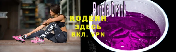 гидра Кодинск