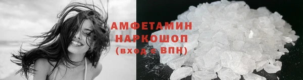 ГАЛЛЮЦИНОГЕННЫЕ ГРИБЫ Козловка