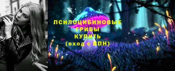 синтетический гашиш Козельск