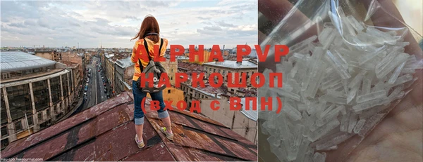 ГАЛЛЮЦИНОГЕННЫЕ ГРИБЫ Козловка