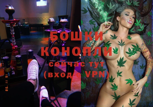 ГАЛЛЮЦИНОГЕННЫЕ ГРИБЫ Козловка