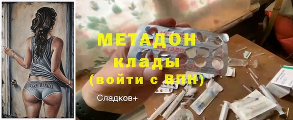 ГАЛЛЮЦИНОГЕННЫЕ ГРИБЫ Козловка