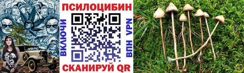 Псилоцибиновые грибы Magic Shrooms  хочу наркоту  Невельск 