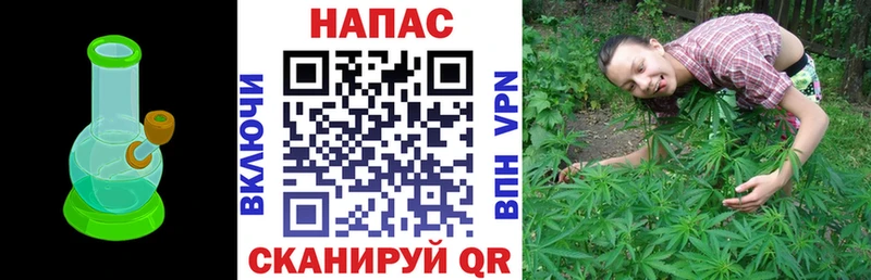 дарнет шоп  Невельск  Бошки марихуана Ganja 